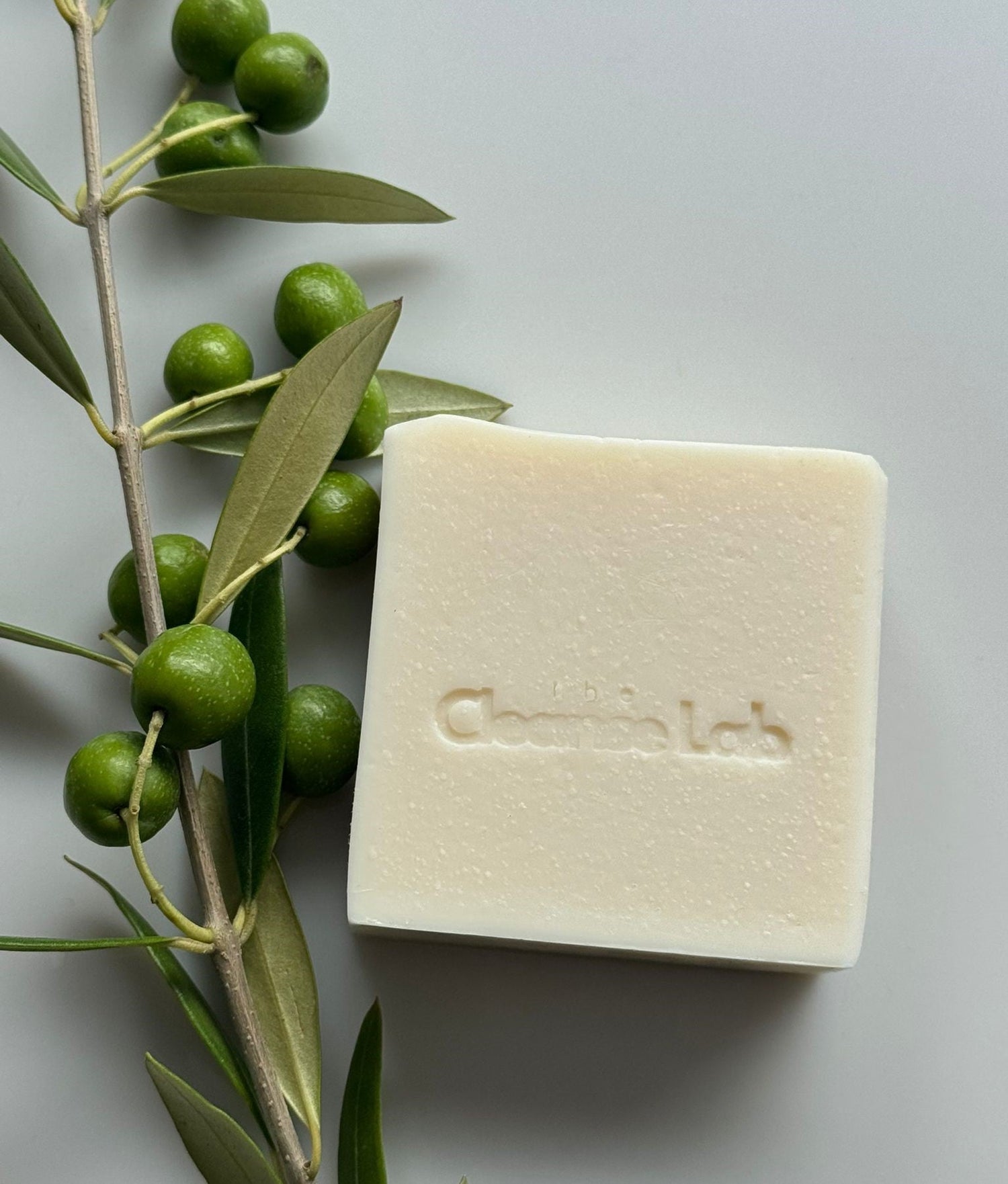 Olive branch with olives and olive oil soap bar